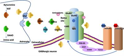 Drugs Based on NMDAR Hypofunction Hypothesis in Schizophrenia